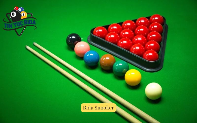 Bida Snooker