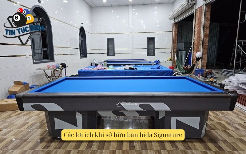 Các lợi ích khi sở hữu bàn bida Signature