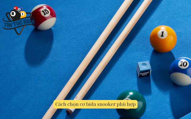 Cách chọn cơ bida snooker phù hợp