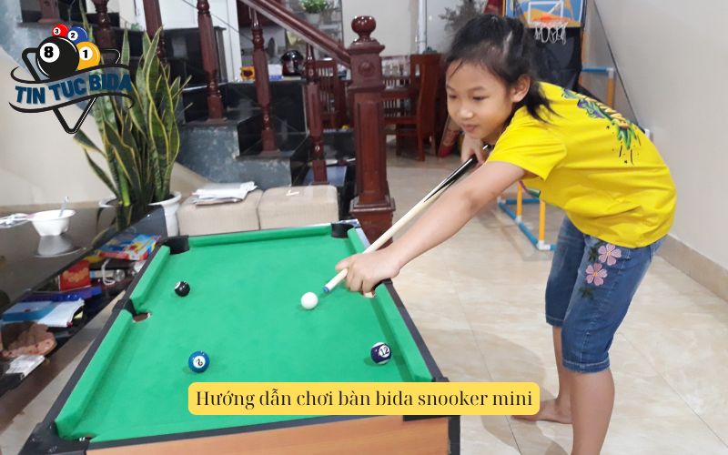 Hướng dẫn chơi bàn bida snooker mini