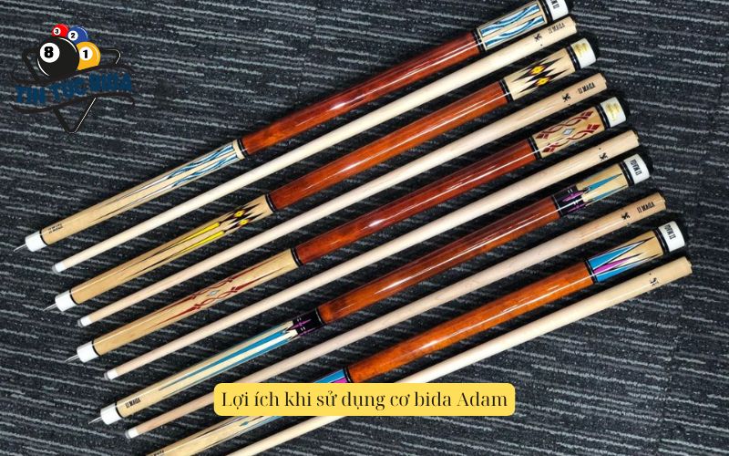 Lợi ích khi sử dụng cơ bida Adam