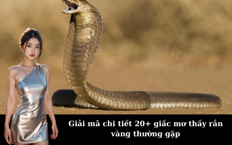 Giải mã chi tiết 20+ giấc mơ thấy rắn vàng thường gặp