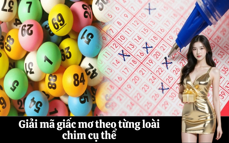 Giải mã giấc mơ theo từng loài chim cụ thể