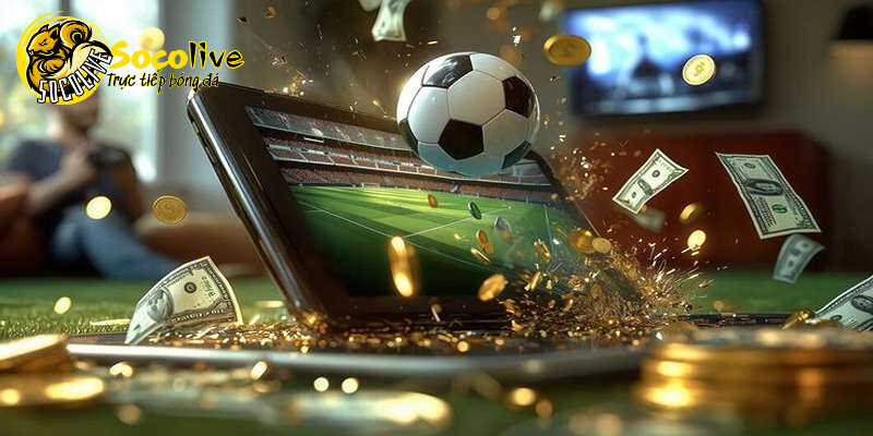 Chu kỳ về việc phân phối bản quyền trong 3 năm 1 lần