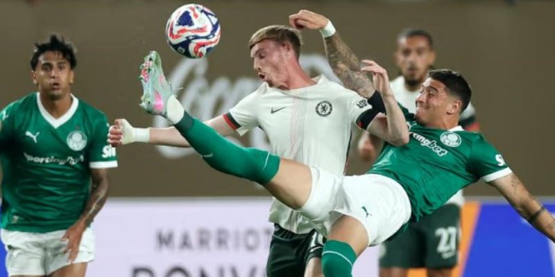 Phương pháp giúp Palmeiras sức mạnh mô hình câu lạc bộ hiện đại