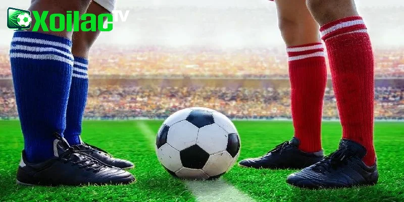 Tổng hợp bản quyền bóng đá tại Việt Nam 2025