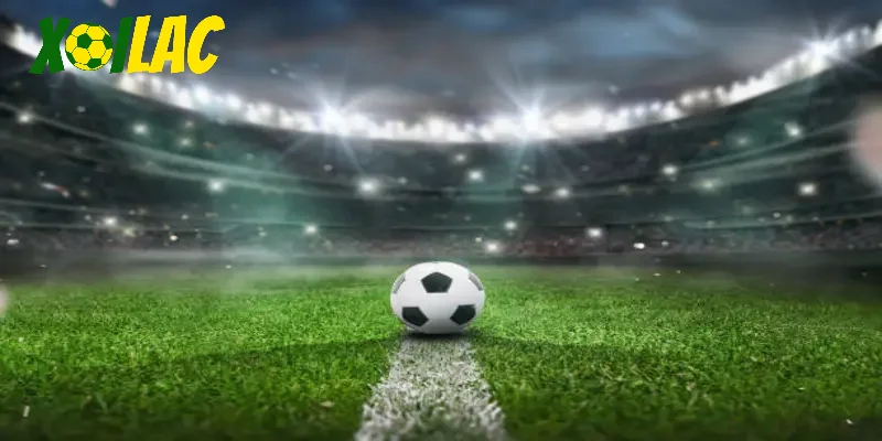 Tổng quan về cuộc đua vua phá lưới Champions League