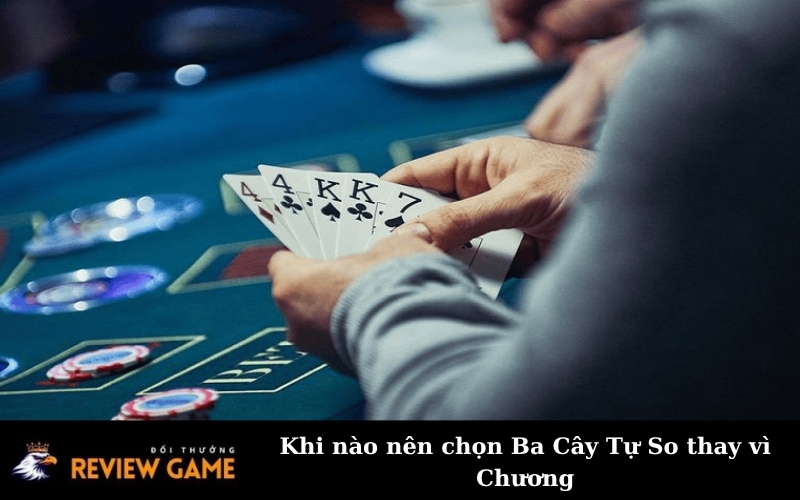 Khi nào nên chọn Ba Cây Tự So thay vì Chương